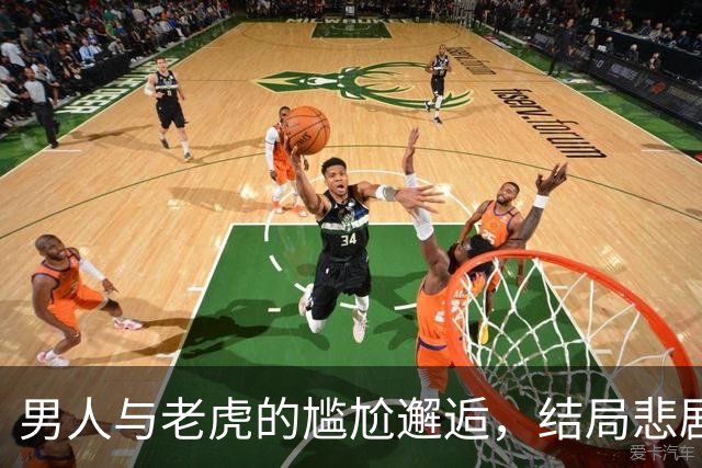 男人与老虎的尴尬邂逅，结局悲剧又啼笑皆非